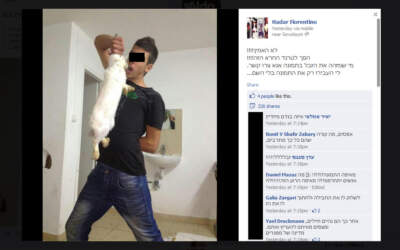 הפך לטרנד: מתעללים בחתול ומעלים את התמונה לפייסבוק