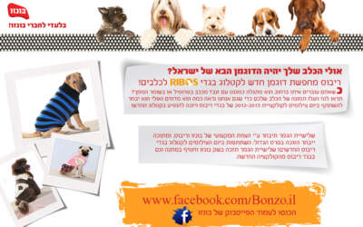 פייסבוק: אולי הכלב שלך יהיה הדוגמן הבא של ישראל?