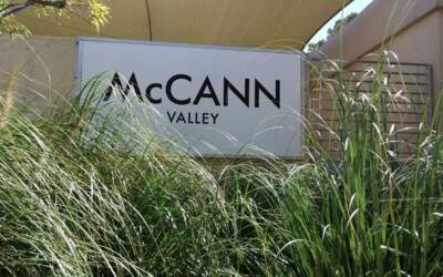 Mccann Valley